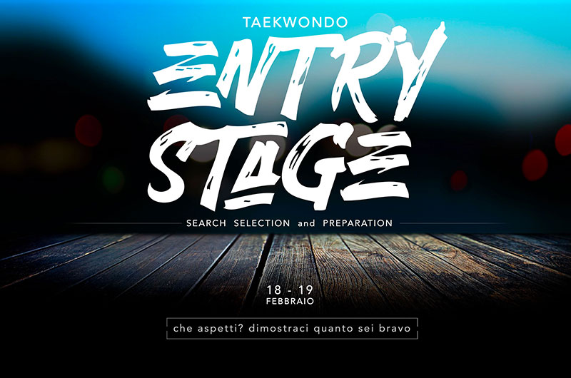 Taekwondo - Entry Stage, Search, Selection and Preparation