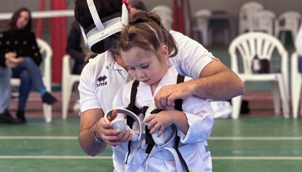 cover Para Virtual Taekwondo 2