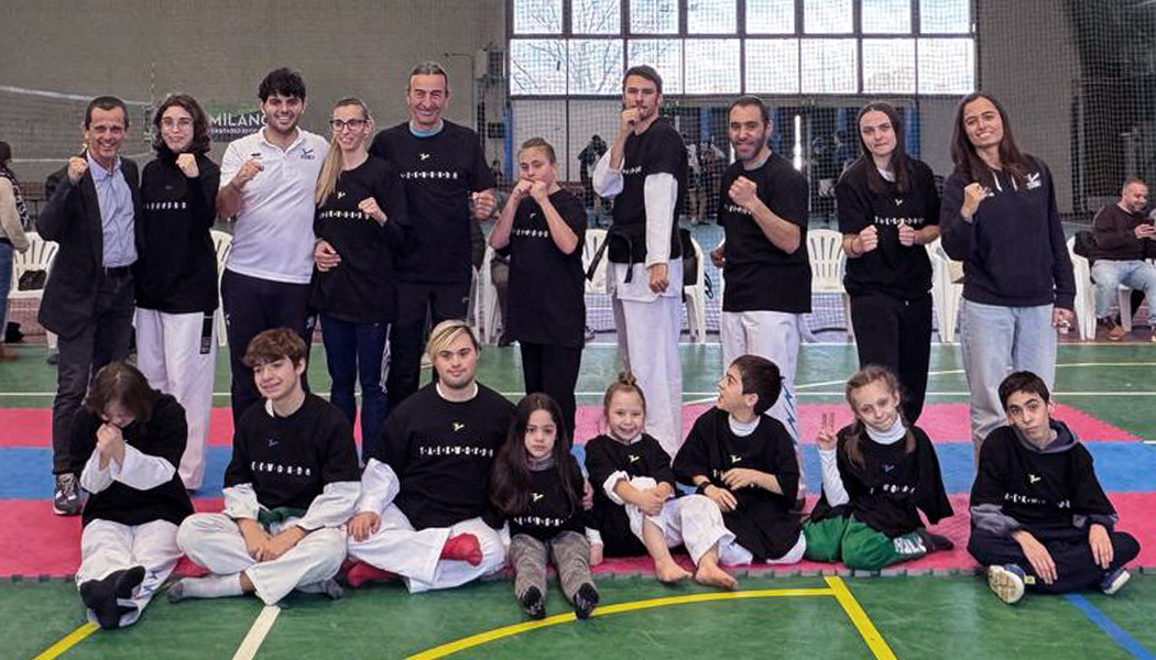 cover Para Virtual Taekwondo 3