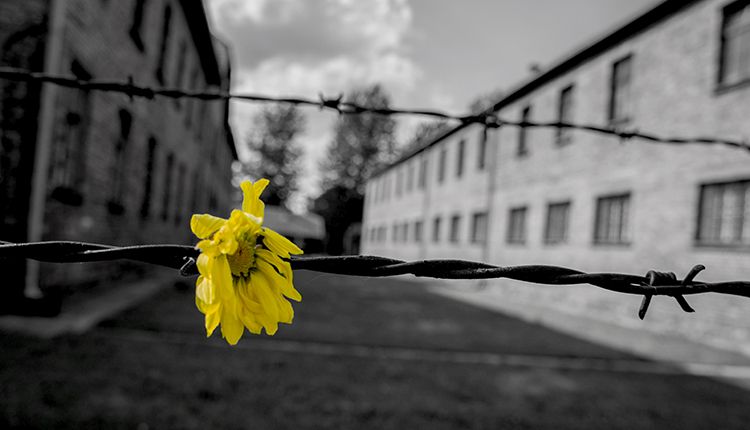 images/giorno-della-memoria-1-1.jpg